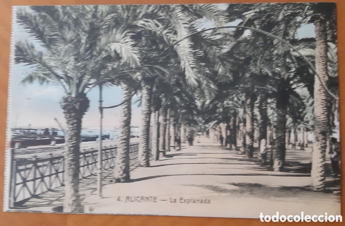 Postais: Postal Alicante coloreada. La Explanada. Sin escribir. R2107