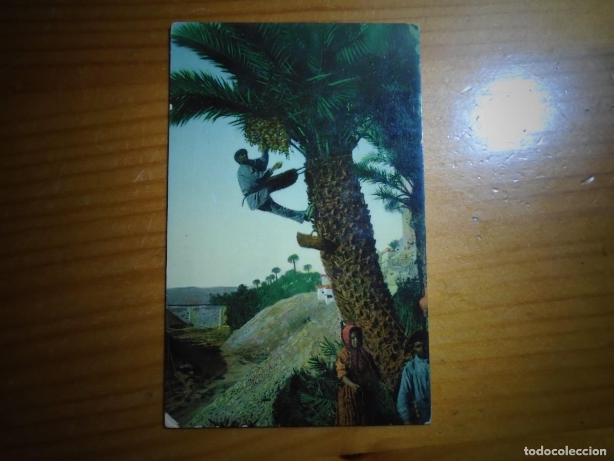Postcards: ELCHE.POSTAL S/C.EDIC. LAMPISTERIA DE ANTON.C.A.1915.