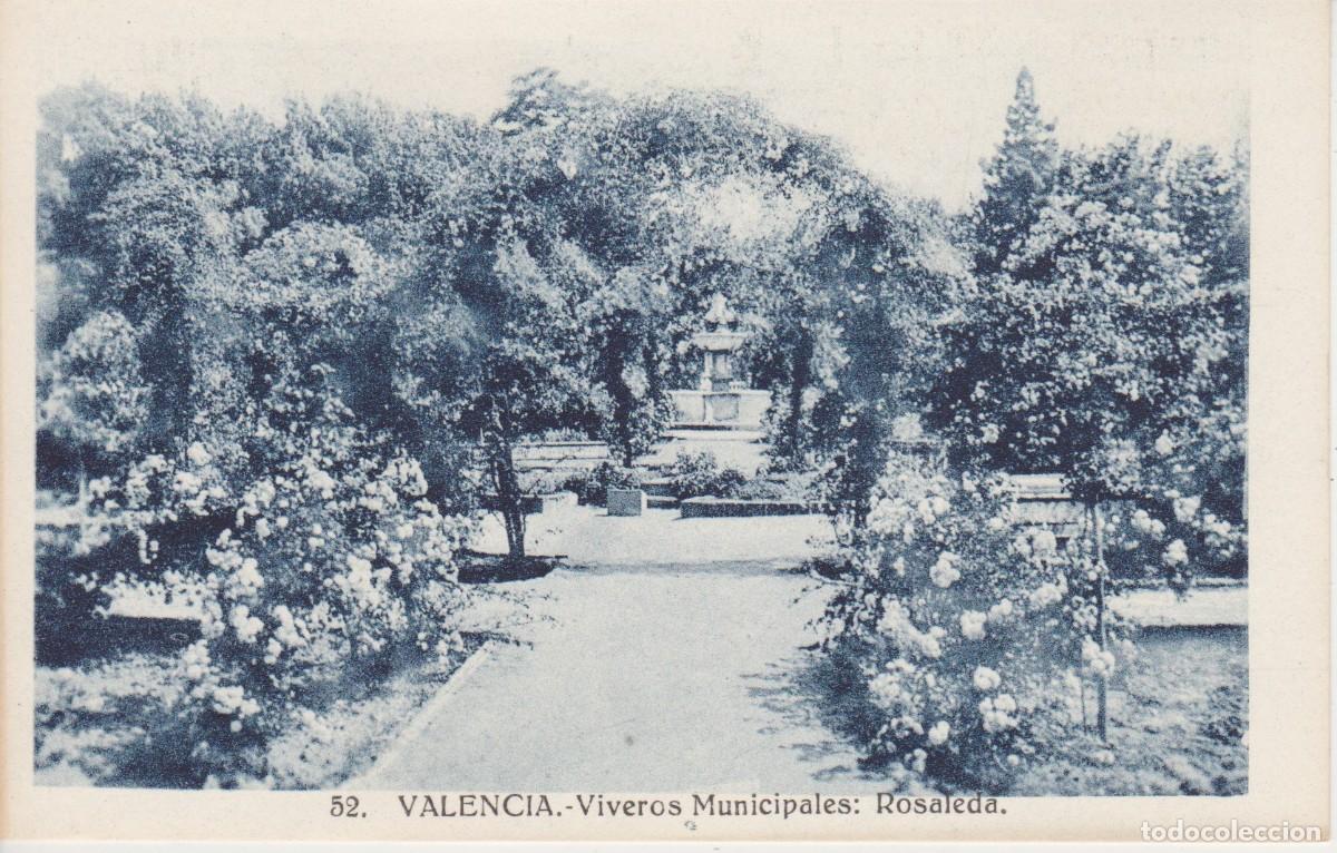 Postkarten: (52) VALENCIA.VIVEROS MUNICIPALES. ROSALEDA ... SIN CIRCULAR