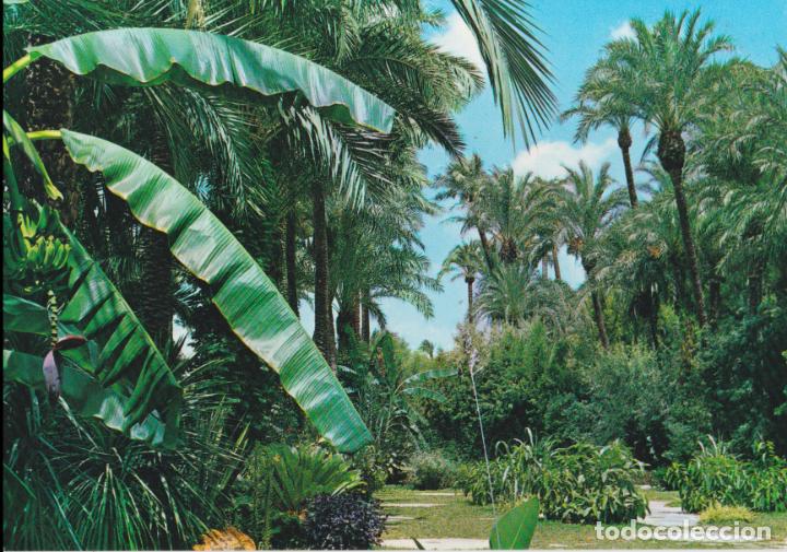 Postcards: ELCHE, HUERTO DEL CURA - COMERCIAL VIPA N&ordm;8001 - EDITADA EN 1965 - S/C