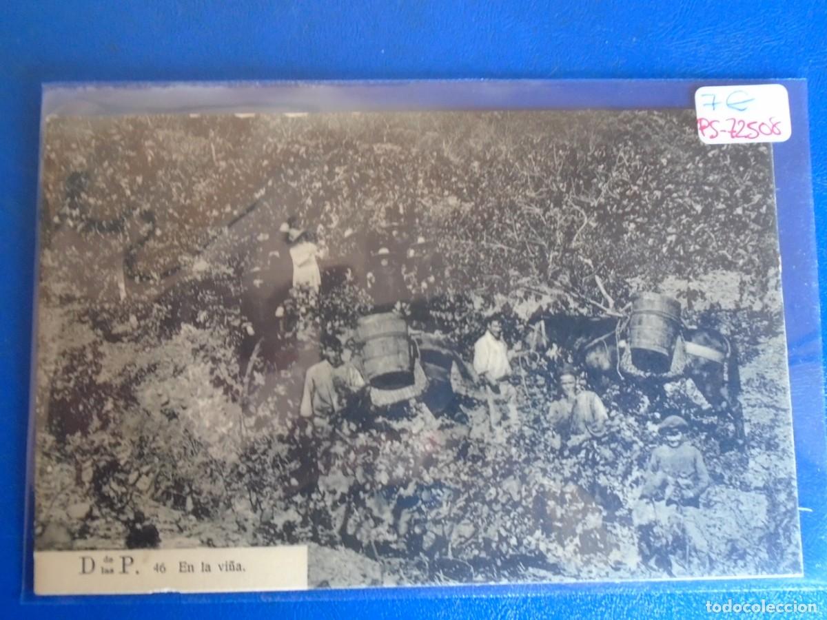 Postais: (PS-72508)POSTAL DESIERTO DE LAS PALMAS-EN LA VI&Ntilde;A