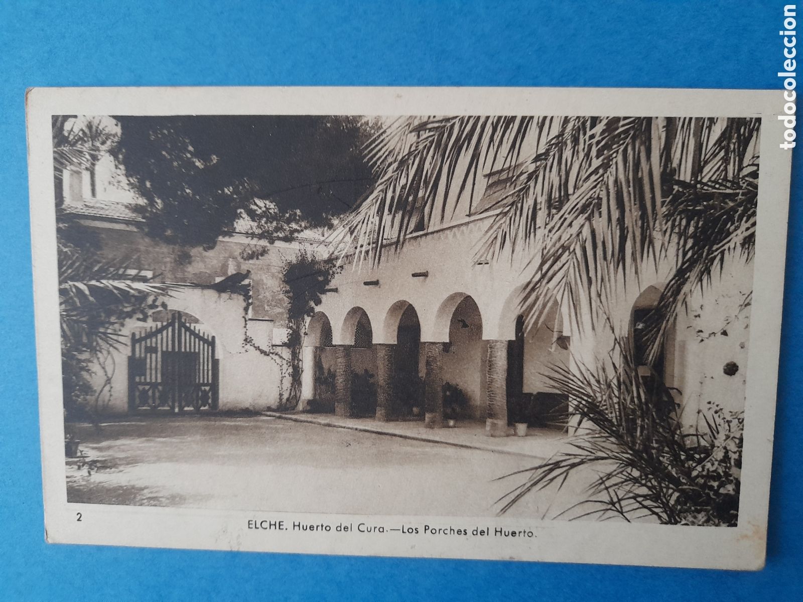 Postales: Postal Elche. Edic. Arribas - Foto 1