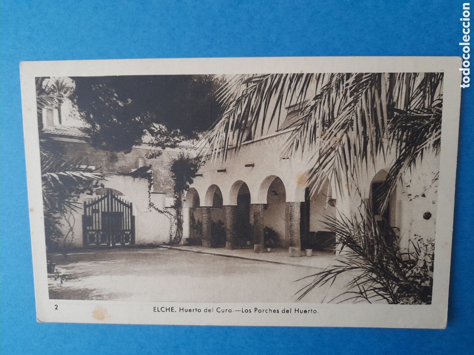 Postales: Postal Elche. Edic. Arribas - Foto 1