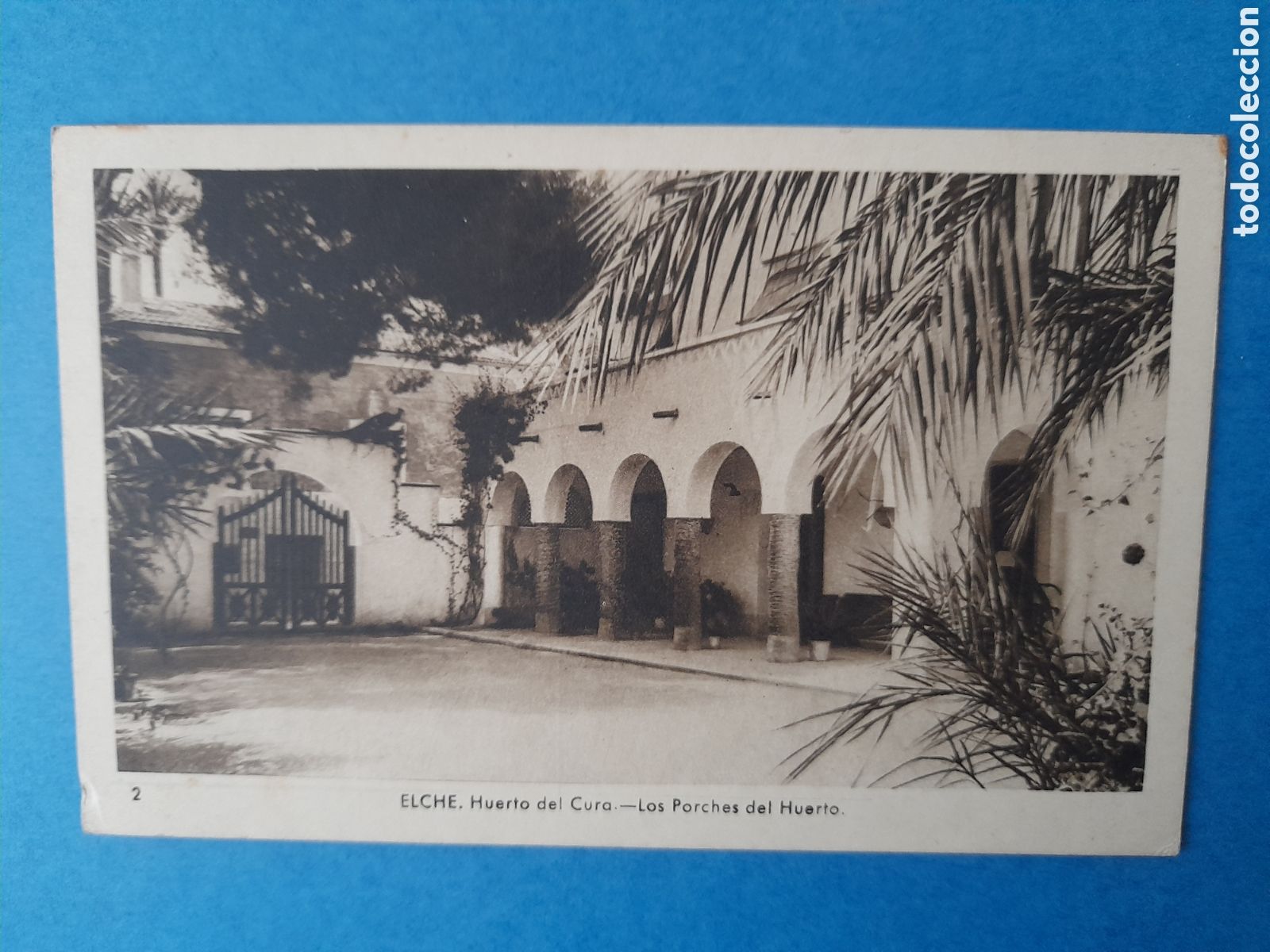 Postales: Postal Elche. Edic. Arribas - Foto 1
