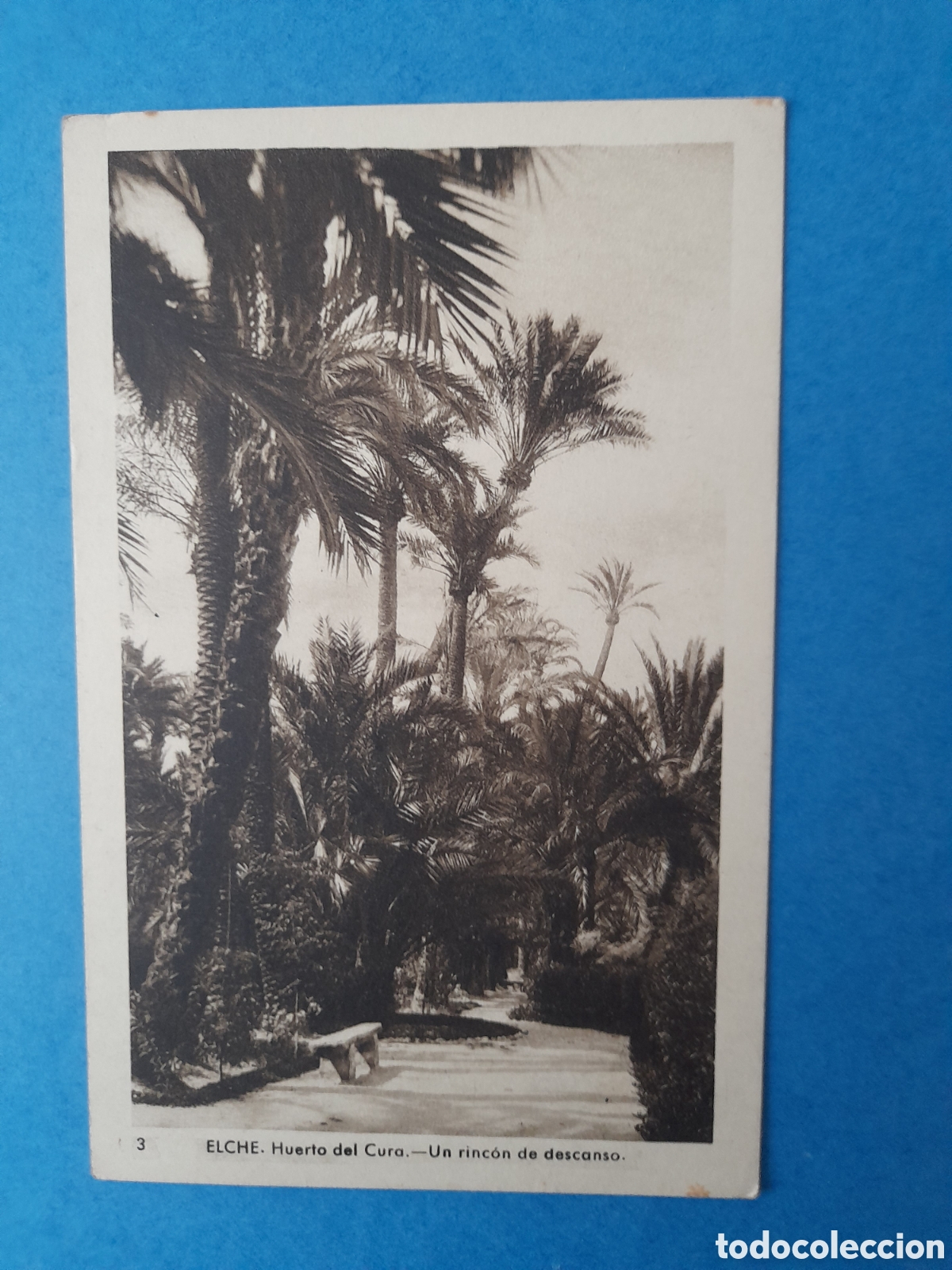 Postales: Postal Elche. Edic.Arribas - Foto 1