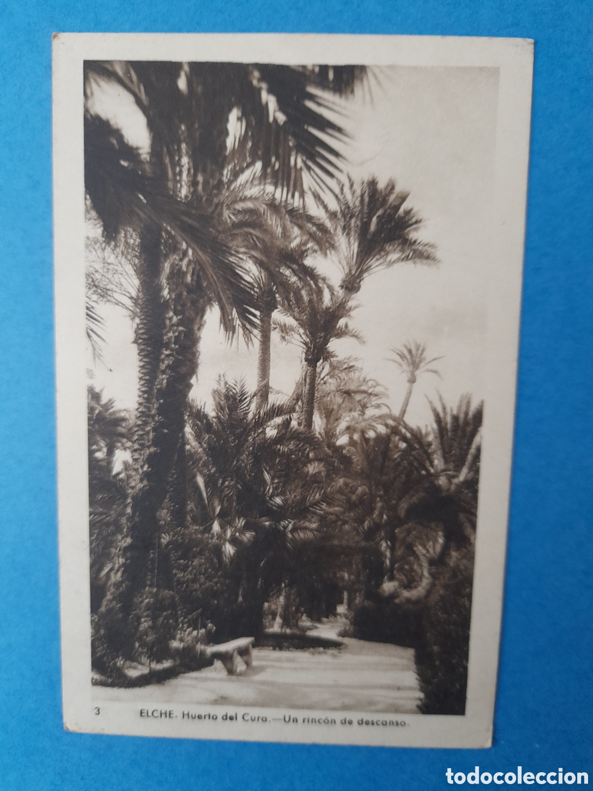 Postales: Postal Elche. Edic. Arribas - Foto 1