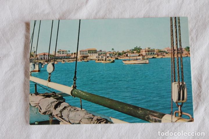 Postcards: POSTAL TORREVIEJA VISTA PARCIAL A&Ntilde;OS 60