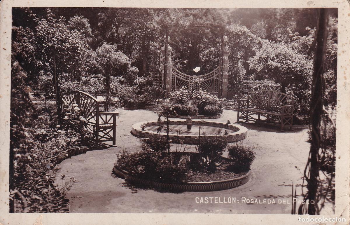 Postkarten: CASTELLON ROSALEDA DEL PASEO
