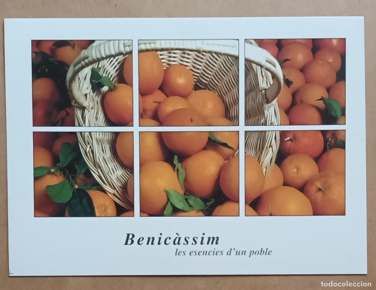 Postkarten: POSTAL - BENICASSIM - LES ESENCIES D' UN POBLE