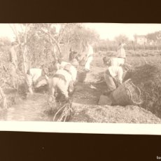 Postales: VALENCIA - CLICHE ORIGINAL - NEGATIVO EN CELULOIDE - AÑOS 1910-1920 - FOTOTIPIA THOMAS, BARCELONA
