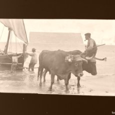 Postales: VALENCIA - CLICHE ORIGINAL - NEGATIVO EN CELULOIDE - AÑOS 1910-1920 - FOTOTIPIA THOMAS, BARCELONA