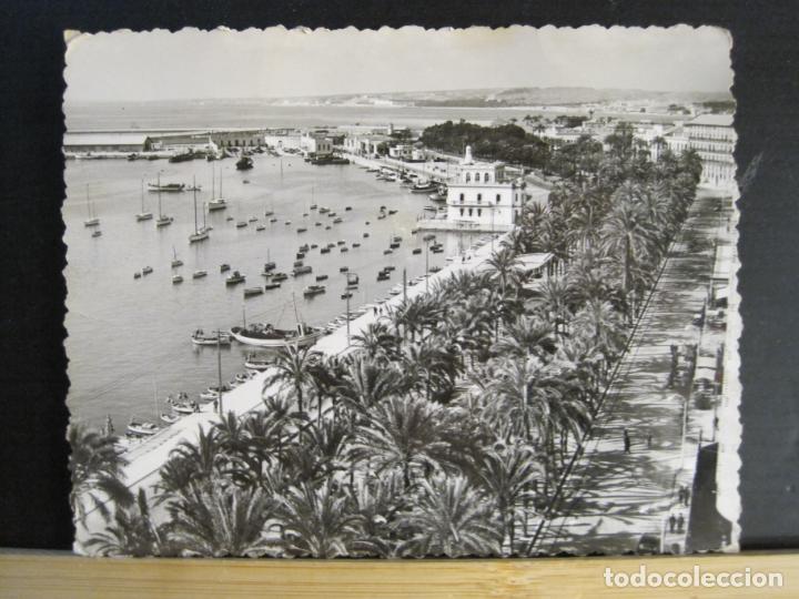 Postkarten: ALICANTE-PUERTO-FOTO SANCHEZ-POSTAL ANTIGUA-(103.195)