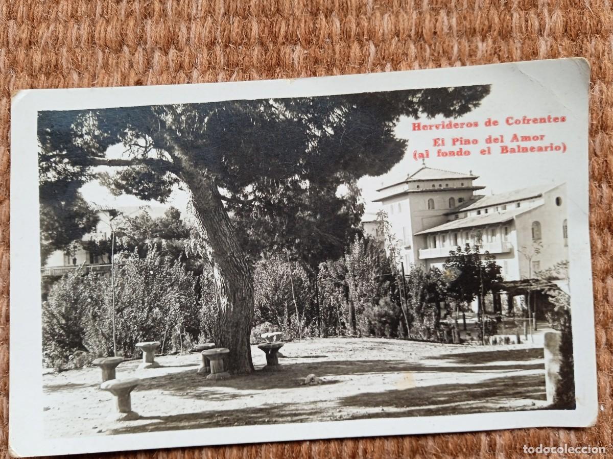 Postcards: HERVIDEROS DE COFRENTES - EL PINO DEL AMOR AL FONDO EL BALNEARIO - CASTELLON