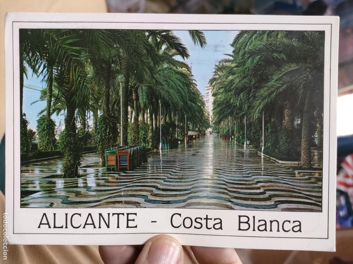 Postales: Postal ALICANTE Costa Blanca EXPLANADA DE ESPA&Ntilde;A N 1 GALIANA 1995 Escrita y Bellamente Sellada esqui