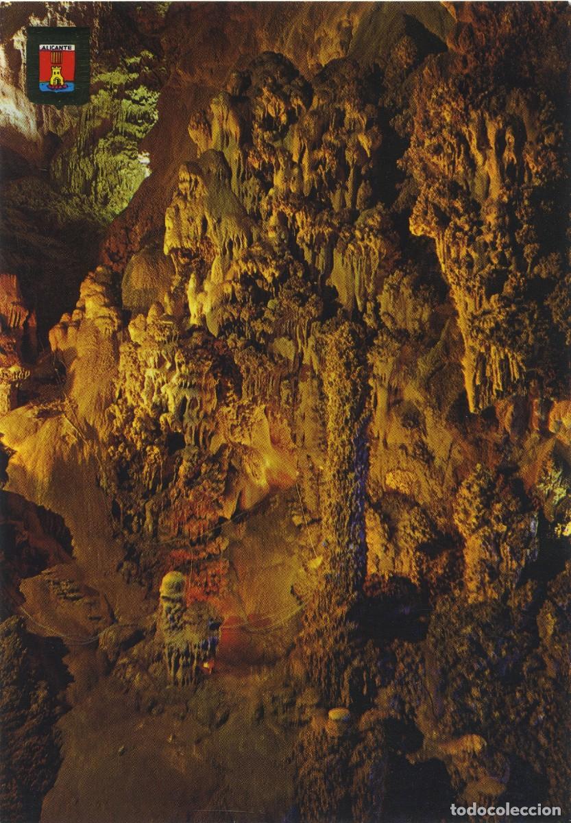 Postais: N&ordm; 6-BUSOT. Alicante. Cuevas de Canalobre. Cactus. Sin circular. ED. SUBIRATS CASANOVAS