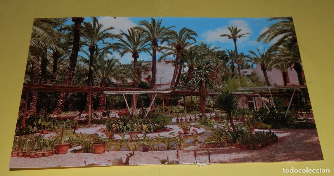 Postales: TARGETA POSTAL DE ELCHE - Foto 1