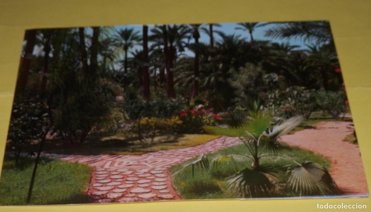 Postales: TARGETA POSTAL DE ELCHE - Foto 1