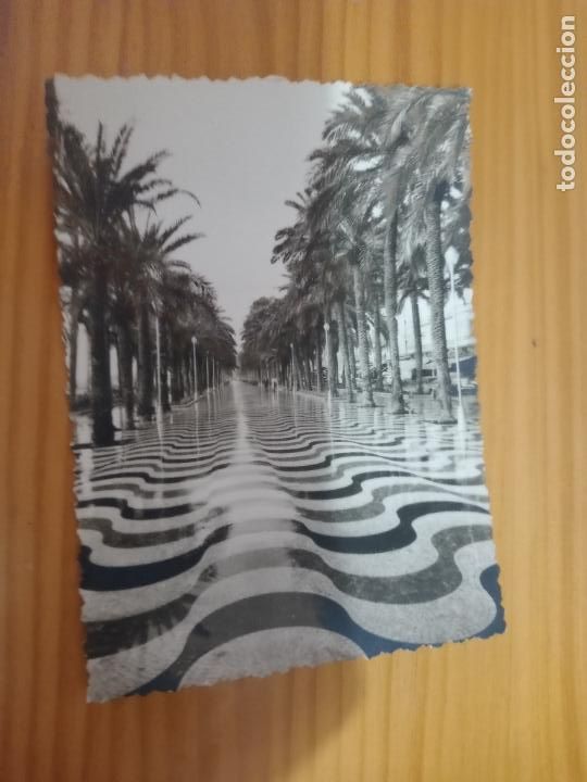 Postales: Alicante - Foto 1