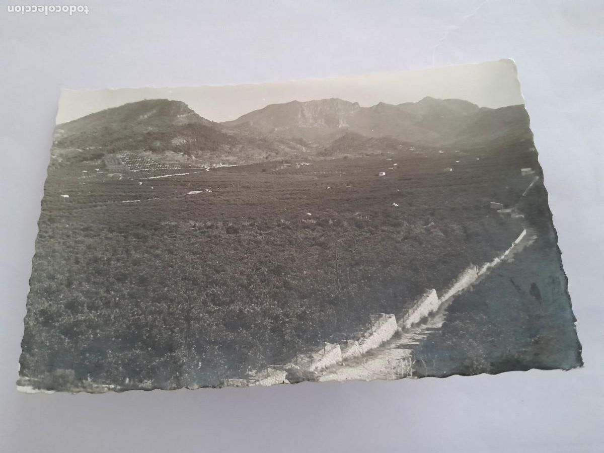 Postkarten: ANTIGUA POSTAL ALCIRA VALLE DE LA MURTA NARANJALES RV 1776