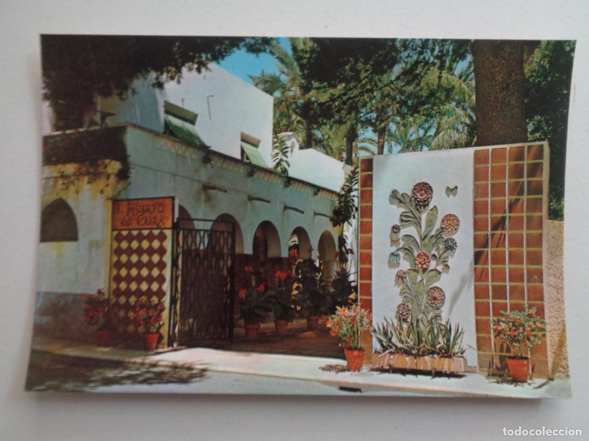 Postkarten: POSTAL DE ELCHE ( ALICANTE ): HUERTO DEL CURA . A&Ntilde;OS 70