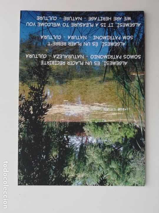 Postcards: Postal Llacuna de Samaruc Algemes&iacute; Valencia Comunitat Valenciana