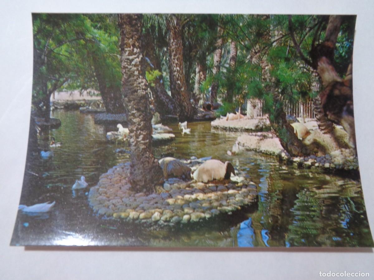 Postcards: POSTAL DE ELCHE ( ALICANTE ): PARQUE MUNICIPAL . A&Ntilde;OS 70