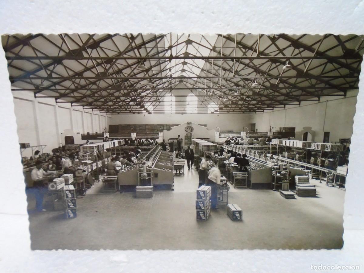 Postales: GANDIA(VALENCIA) EDIC.GARRABELLA, N&ordm;8 ESCRITA, 1956.almacen de naranjas