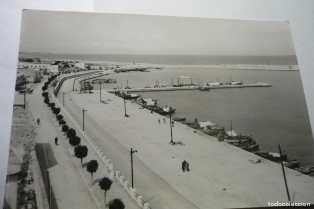 Postcards: postal benicarlo puerto.-general cm