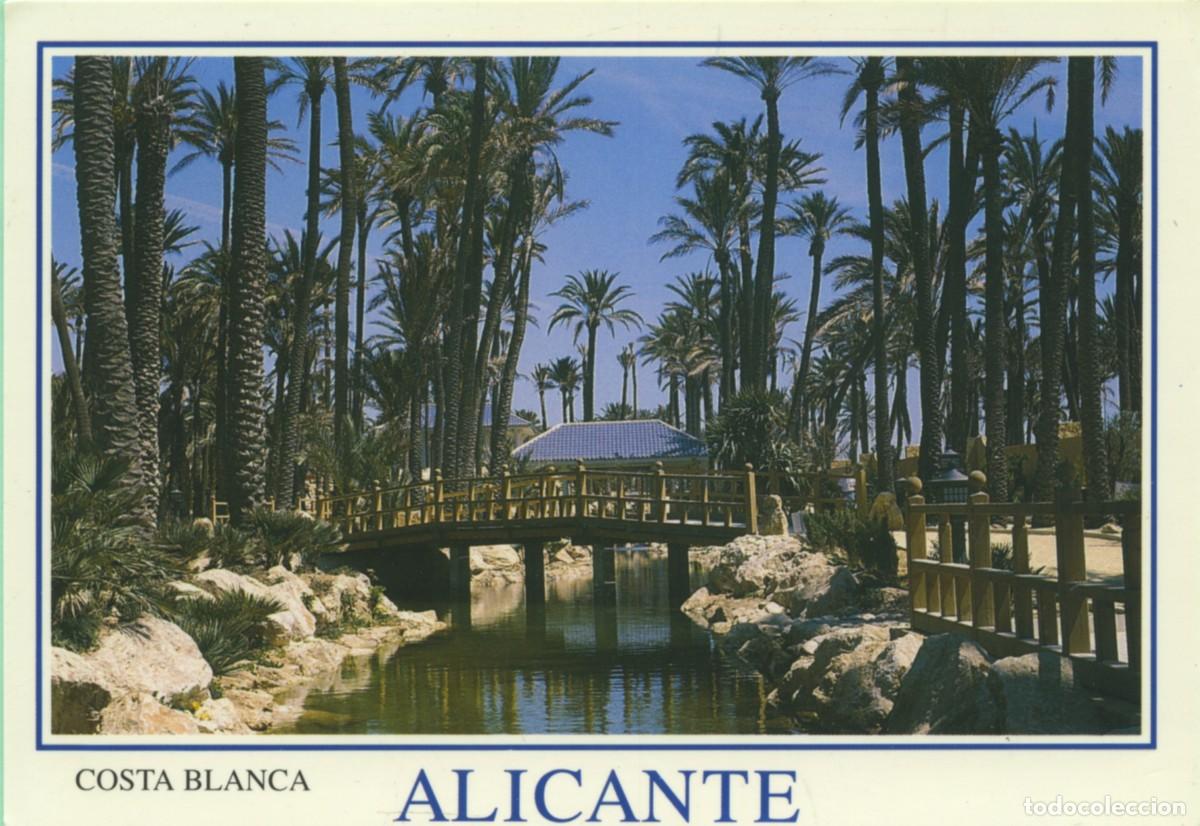 Postkarten: N&ordm; 530-ALICANTE. Parque El Palmeral. Escrita en 2003. ED. COMERCIAL PAPISA