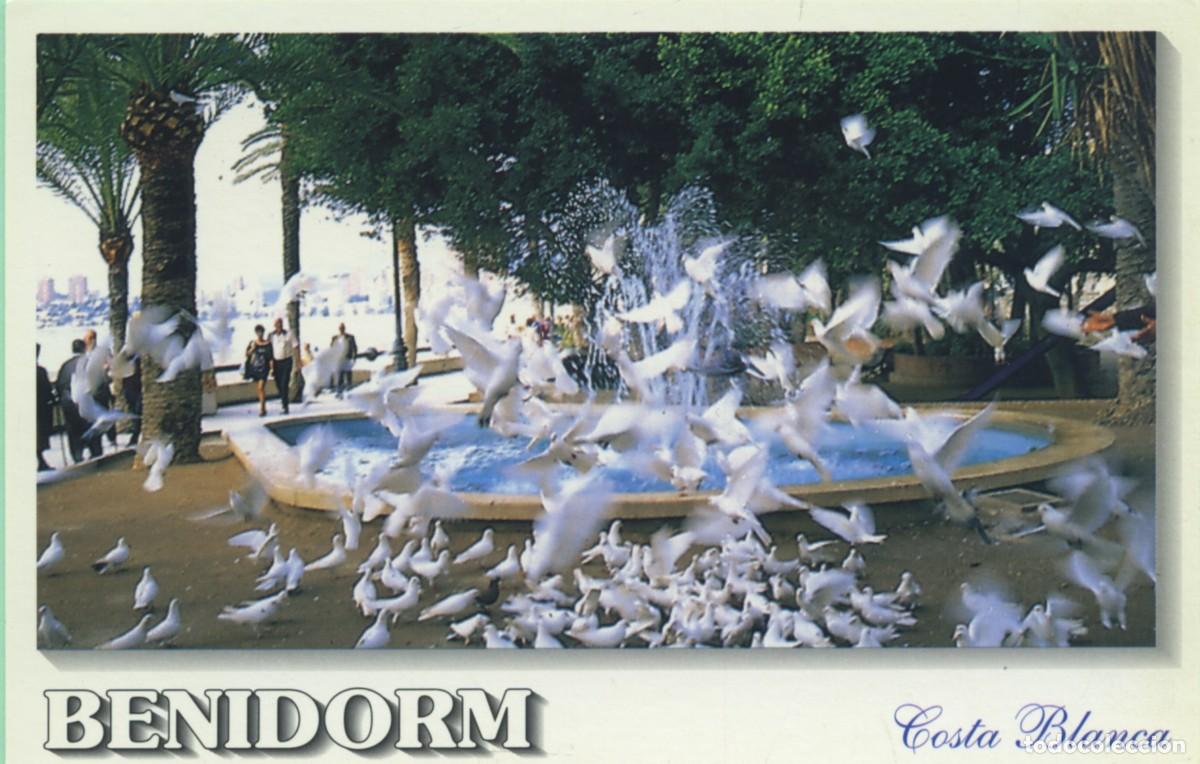 Postkarten: N&ordm; 99-BENIDORM. Alicante. Costa Blanca. Sin circular. ED. LLIBRE PRESS
