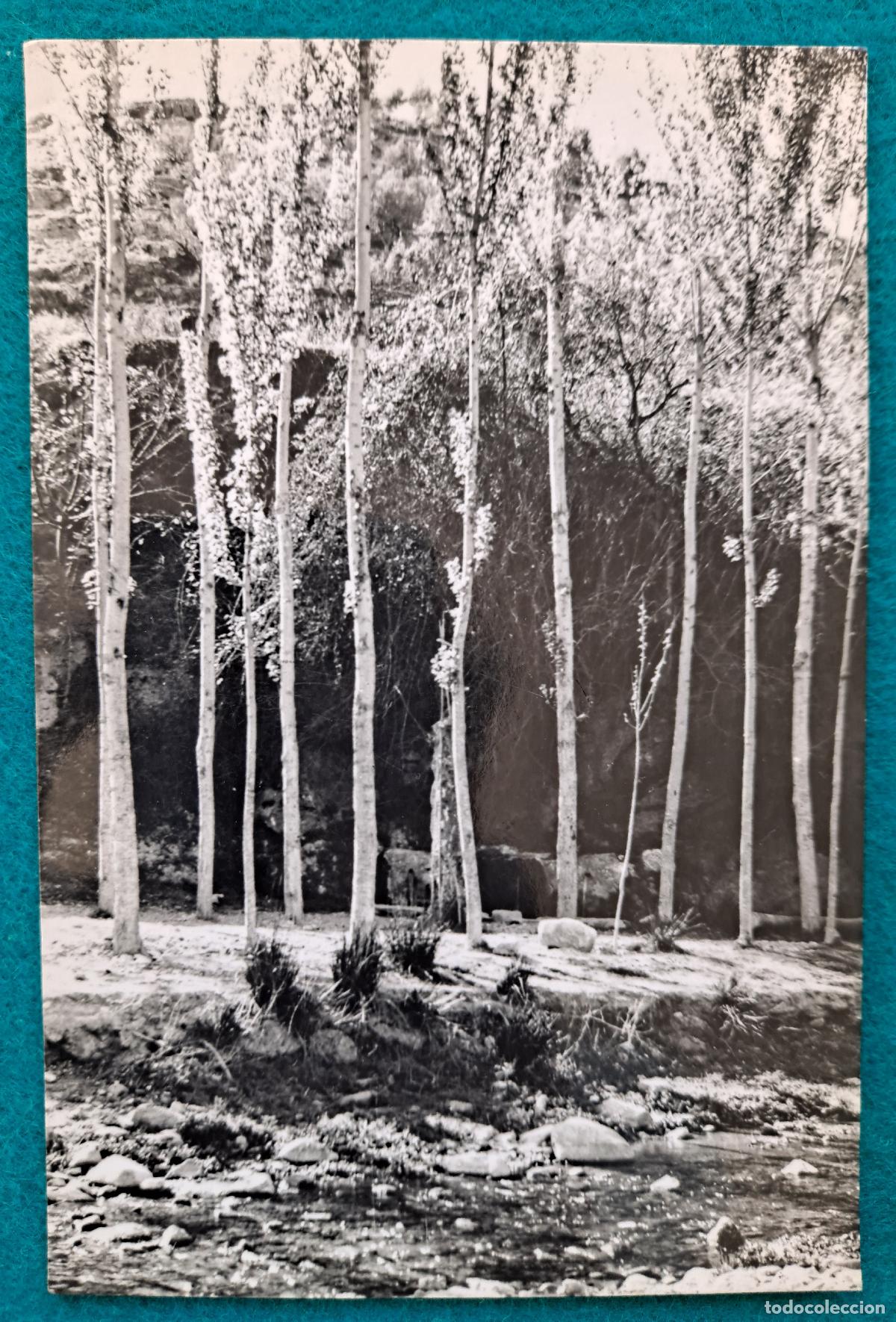 Postcards: RW POSTAL CASTELLON ALAMEDA FUENTE DE LA PLAYETA MONTAN P527