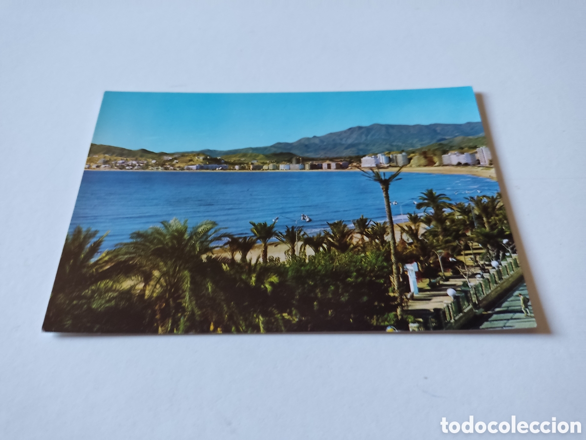 Postales: Postal Benidorm panorama - Foto 1