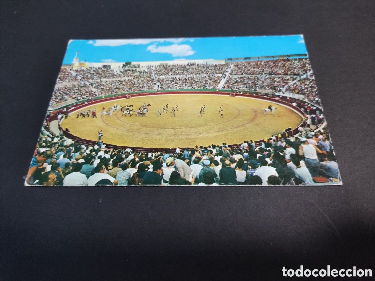 Postales: Postal Benidorm plaza de toros