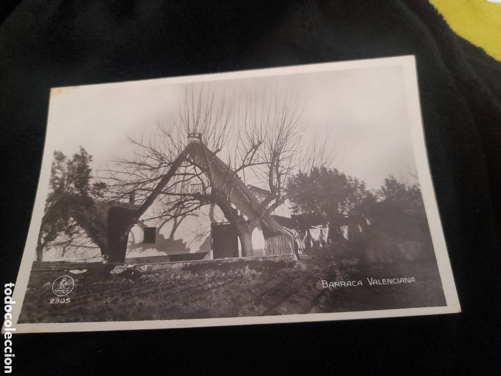 Postales: Antigua postal fotogr&aacute;fica, Barraca Valenciana