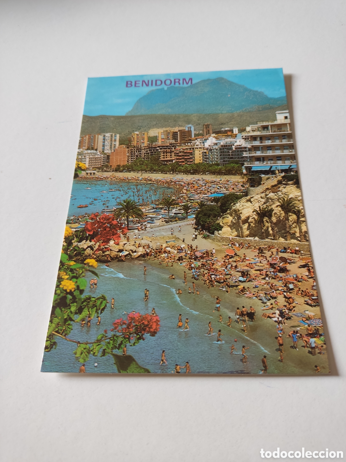 Postales: Postal Benidorm Panor&aacute;mica - Foto 1