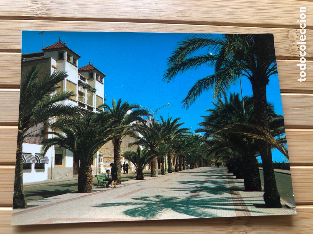 Cartes Postales: Postal VINAROZ N&ordm; 36. Paseo del General&iacute;simo. IMPRENTA CASTELL. Sin circular. ASM