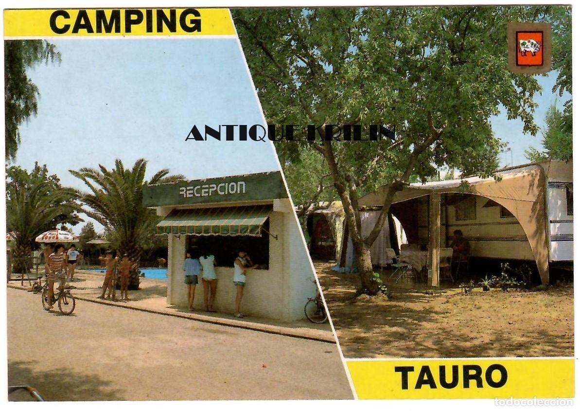 Postales: CASTELLON / BENICASIM / CAMPING TAURO / EDICION FISA / SIN CIRCULAR
