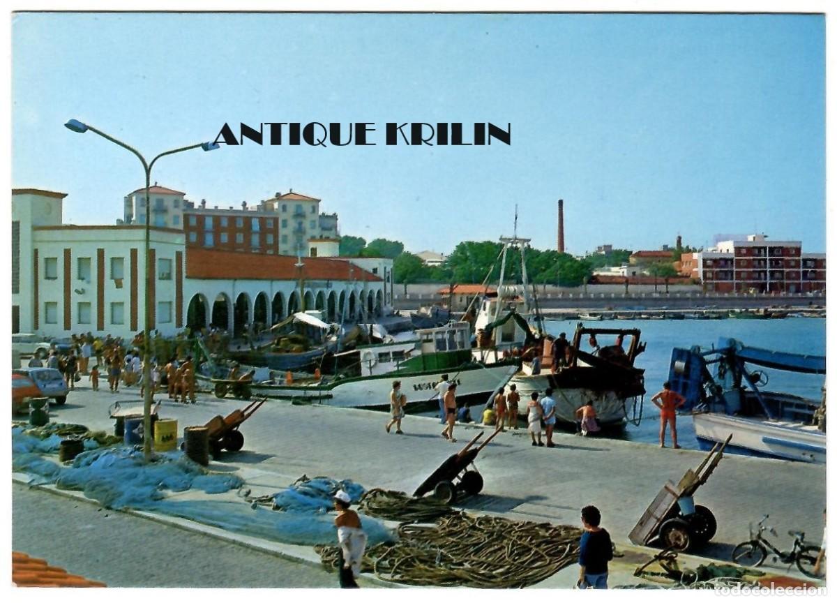 Postkarten: BENICARLO / PUERTO VISTA PARCIAL / EDICION FOTO CAMPA&Ntilde;&Aacute; N&ordm; 6487 / CIRCULADA