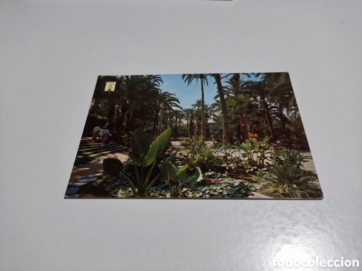 Postales: Postal Elche palmeras.... - Foto 1