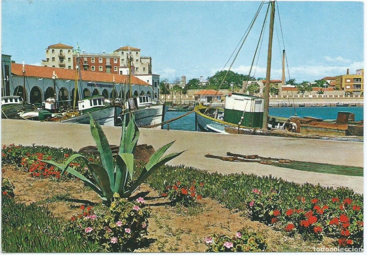 Cartes Postales: PUERTO / HARBOUR.- BENICARL&Oacute; - CASTELLON
