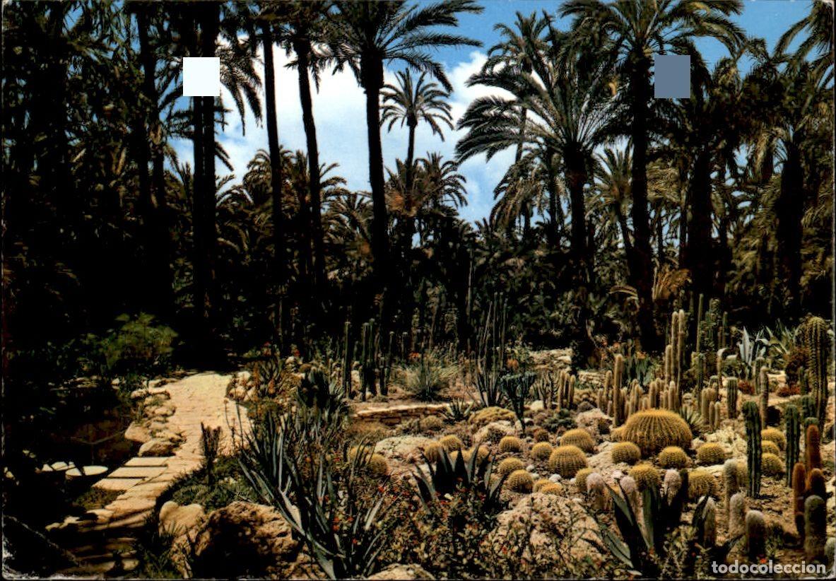 Postcards: Comunidad valenciana - Elche Alicante Huerto del cura