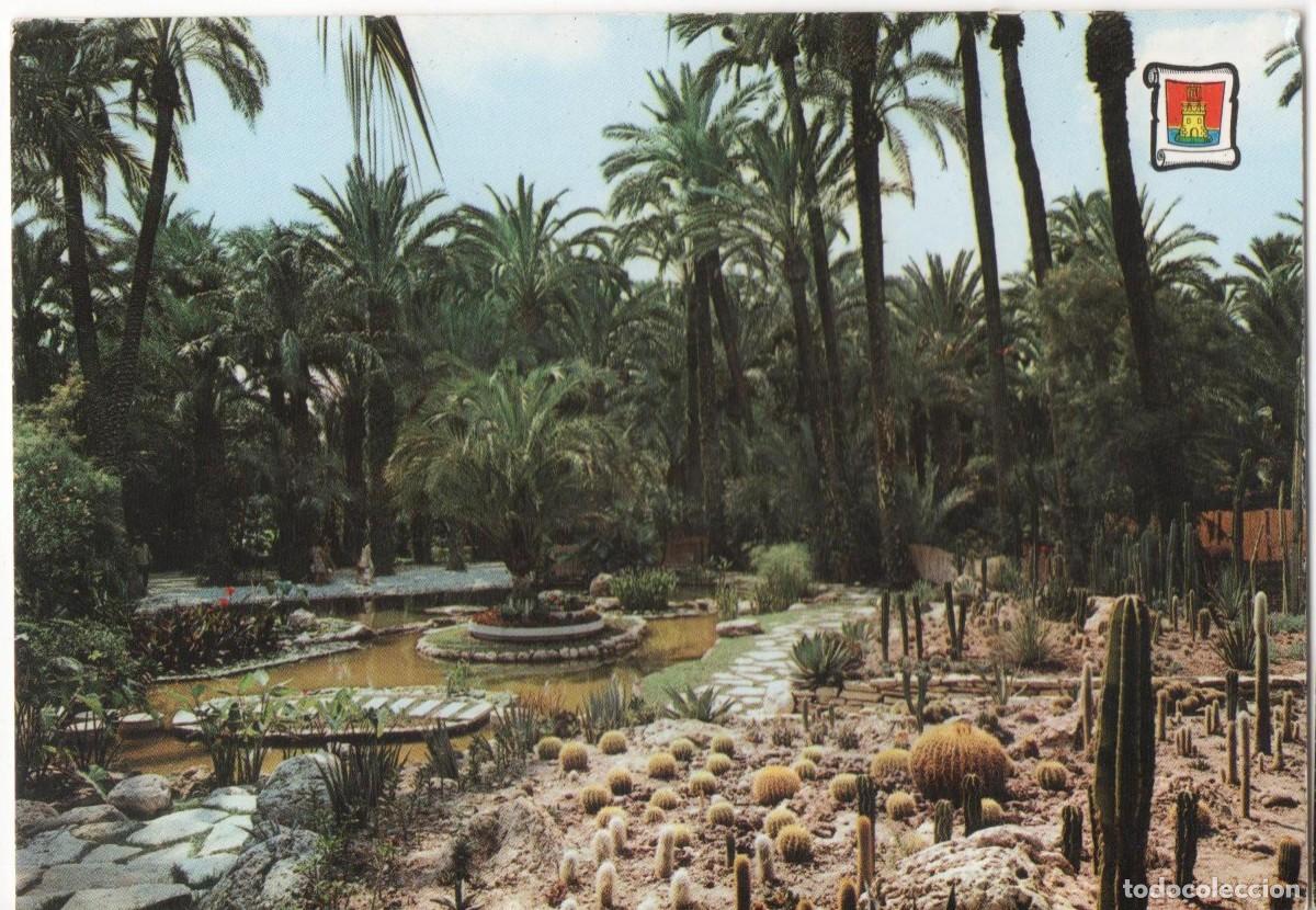 Cartoline: -ELCHE-ALICANTE-SIN CIRCULAR-