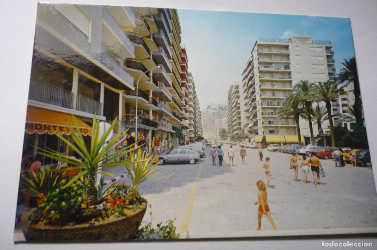 Cartes Postales: postal cullera.-av.peris mencheta jardines oasis