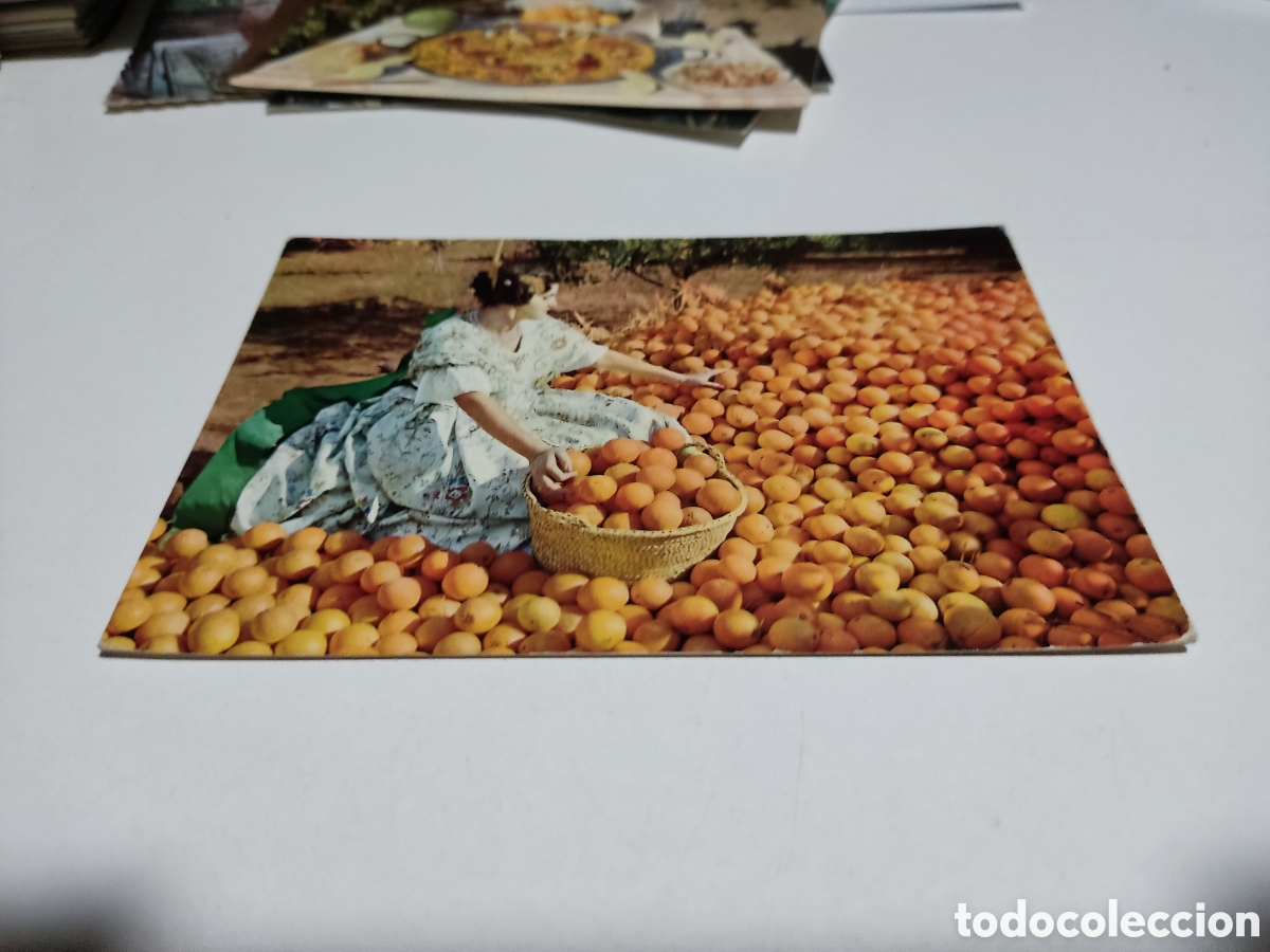 Postcards: Postal Naranjas valencianes