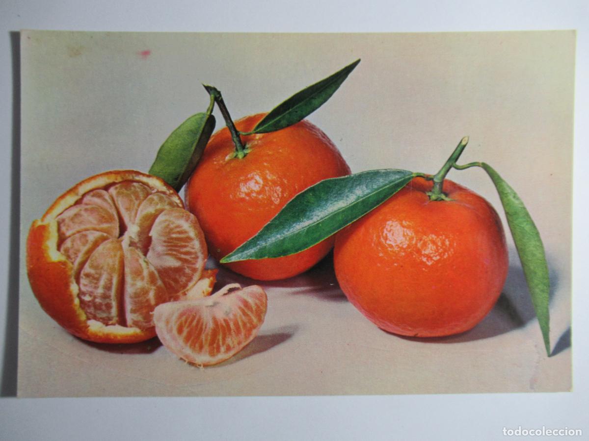 Cartes Postales: Postal Mandarina / Clementina - Banco Hispano Americano