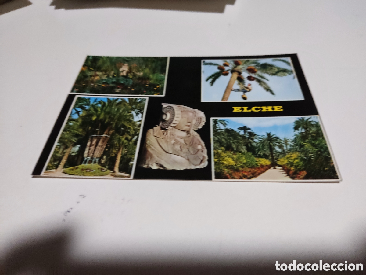 Postales: Postal Elche palmeras....... - Foto 1
