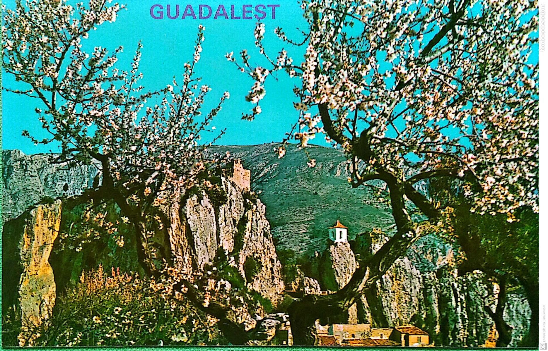 Postcards: Castell de Guadalest. 10 Almendro en flor. Hnos. Galiana. Nueva. Color