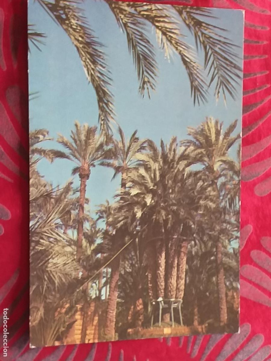 Postkarten: ALICANTE-V22-150X105mm.-ELCHE-EL HUERTO DEL CURA