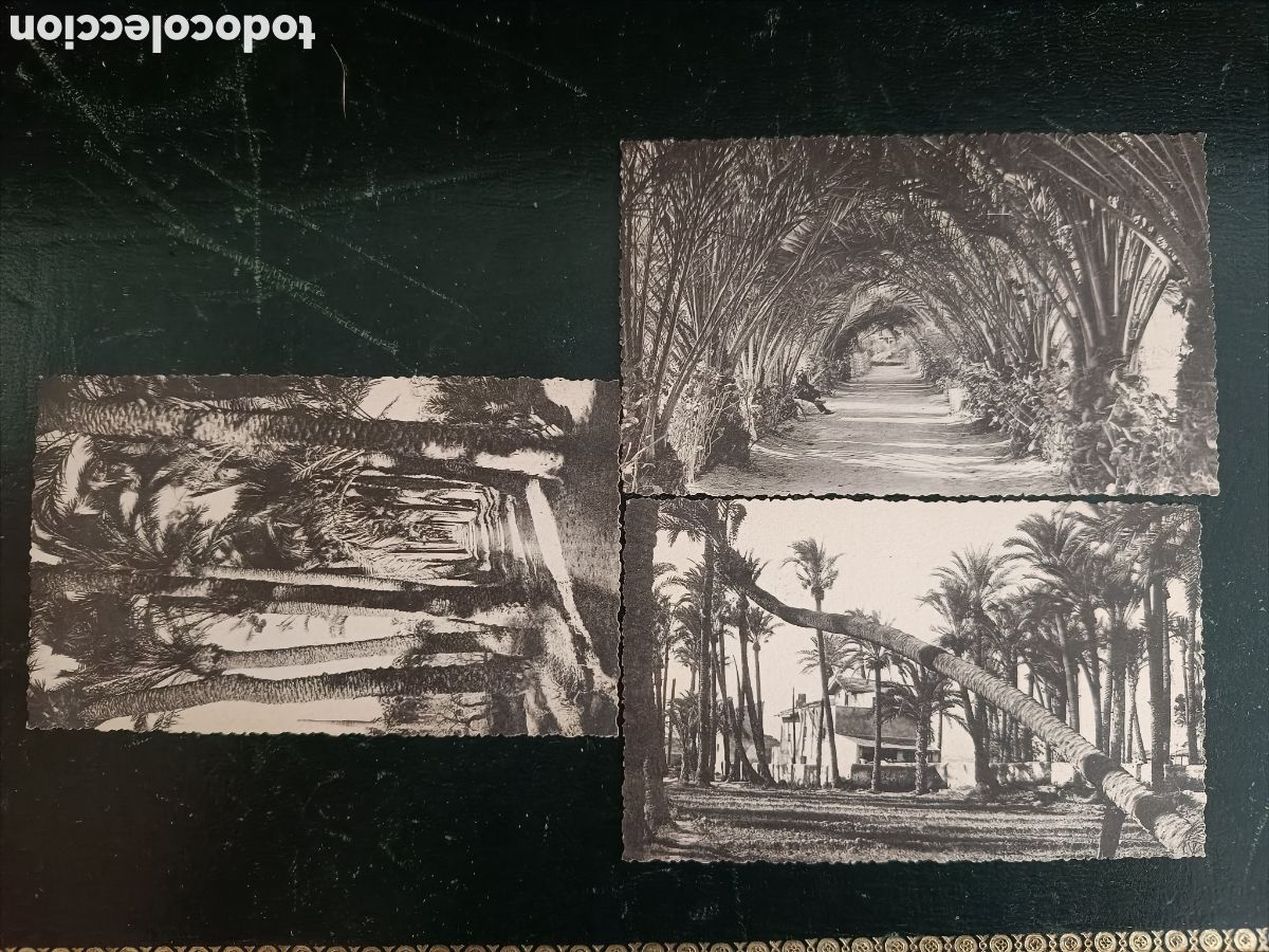 Postais: ELCHE LOTE 3 POSTALES: 36 HUERTO DEL REAL, 39 HUERTO DEL CURA, 40 HUERTO DE LOS TOROS.