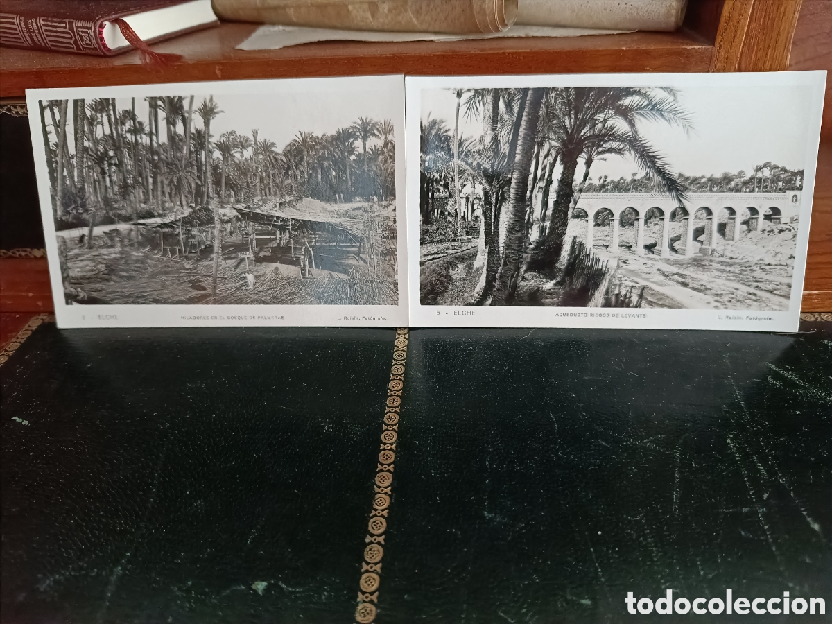 Postais: LOTE 2 POSTALES ELCHE: 8 HILADORES EN EL BOSQUE DE PALMERAS 6- ACUEDUCTO RIEGOS LEVANTE ROISIN FOTOG